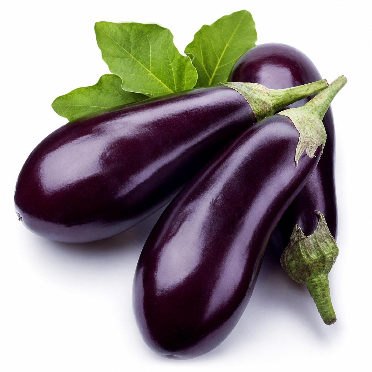Berinjela