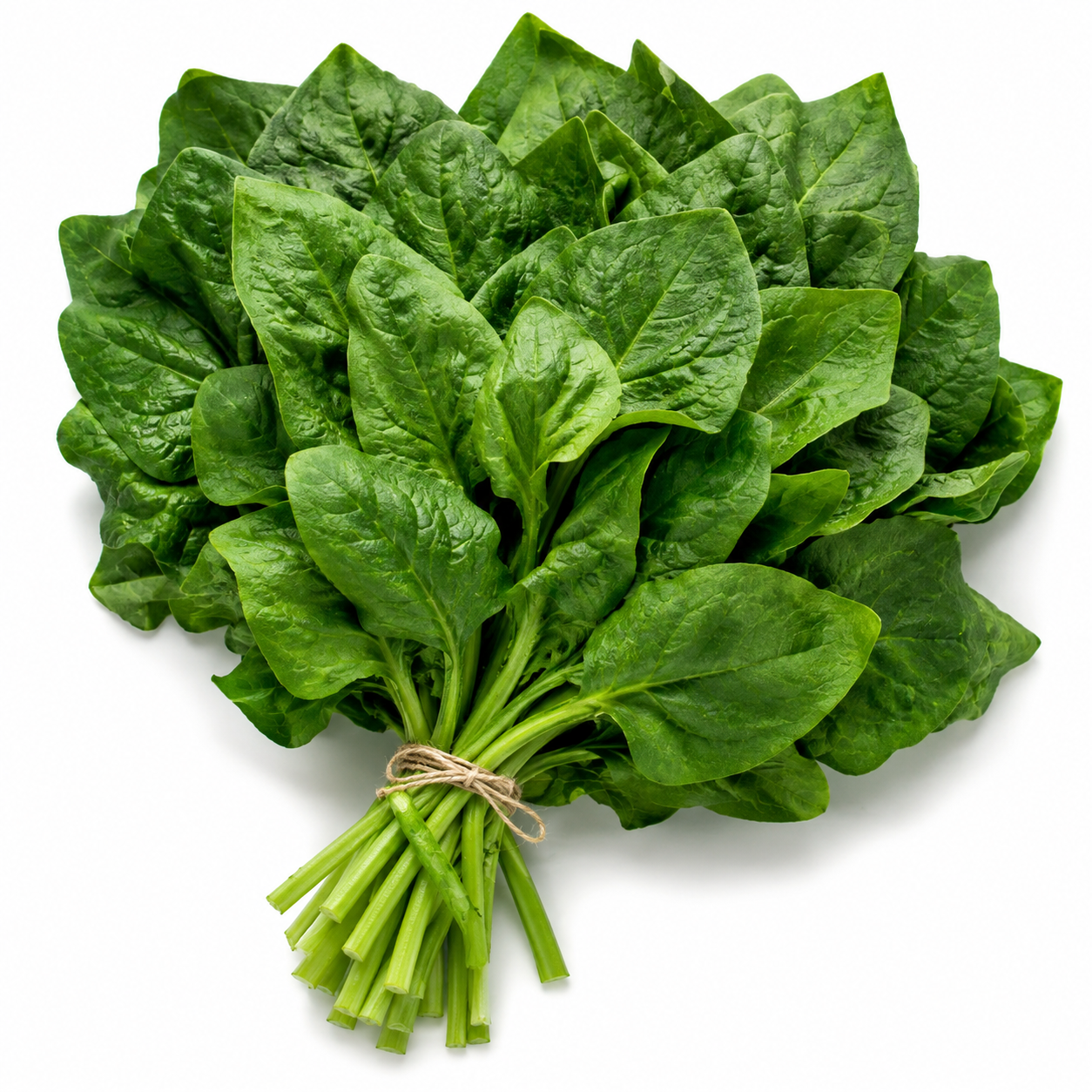 Espinafre