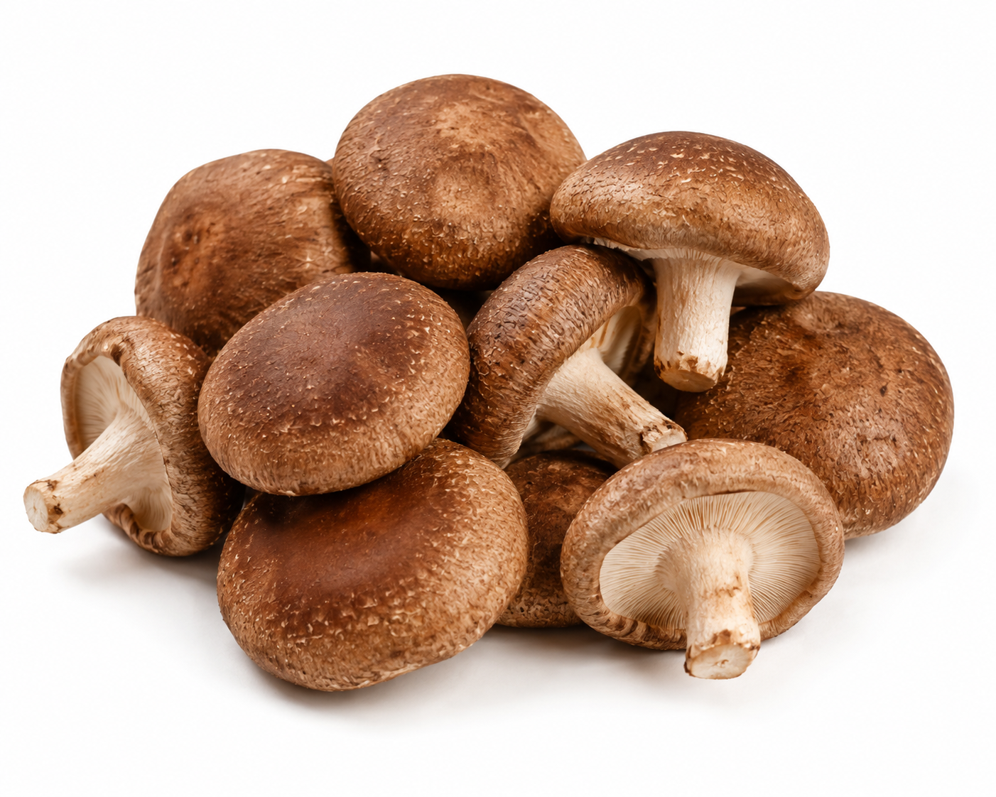 Shitake