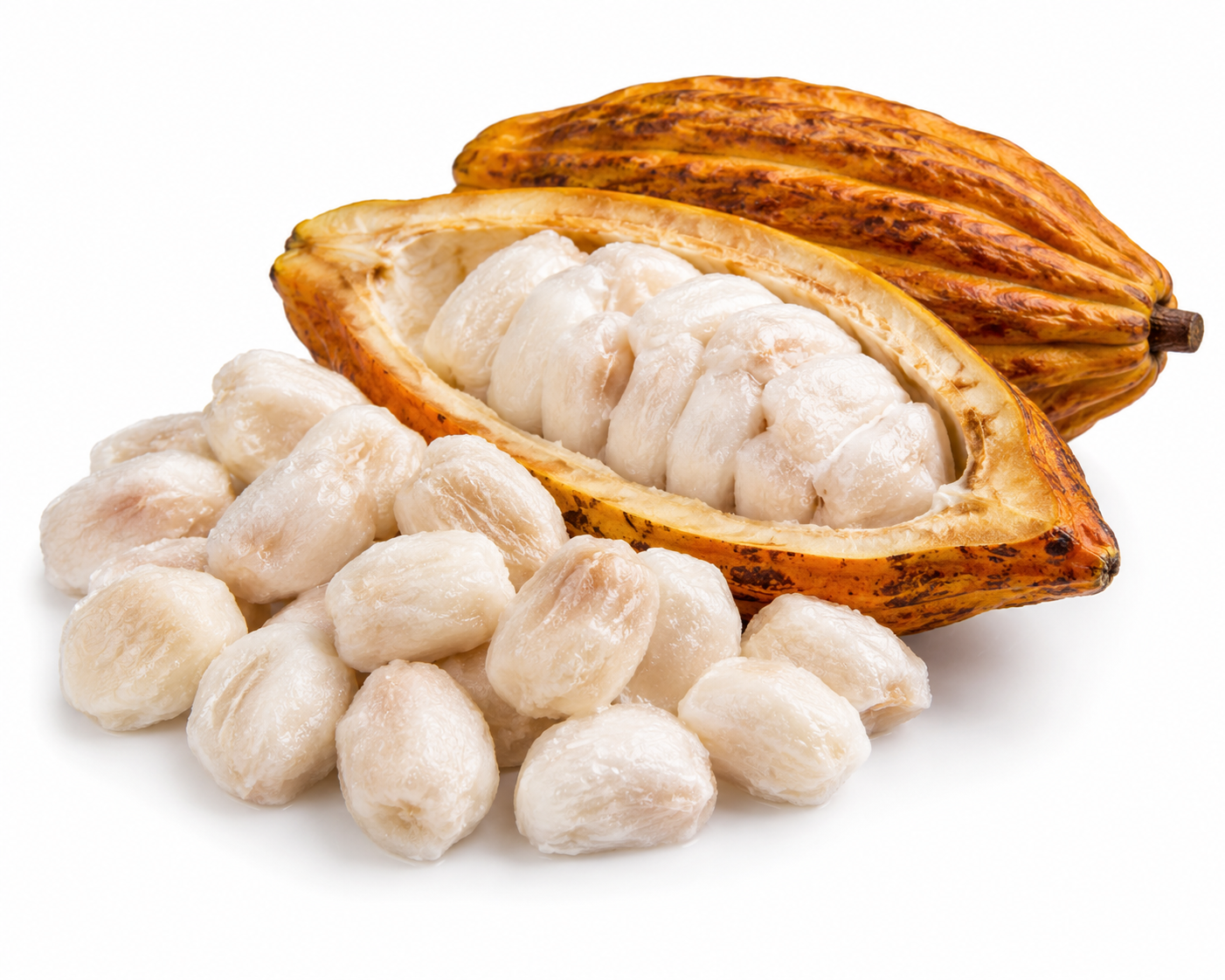 Cacau